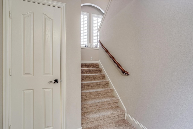 staircase featuring carpet floors