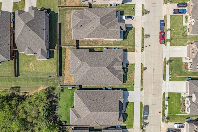 bird's eye view