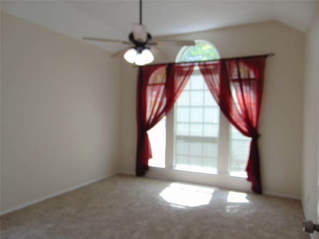 spare room with a wealth of natural light and carpet