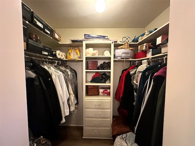 walk in closet with dark wood-type flooring