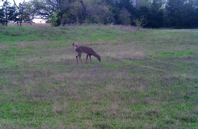 Listing photo 2 for 1203 County Road 4132, Cumby TX 75433