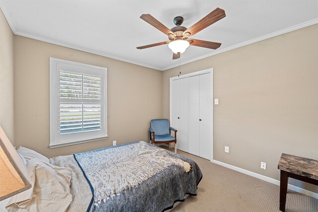 carpeted bedroom with ceiling fan, ornamental molding, and a closet