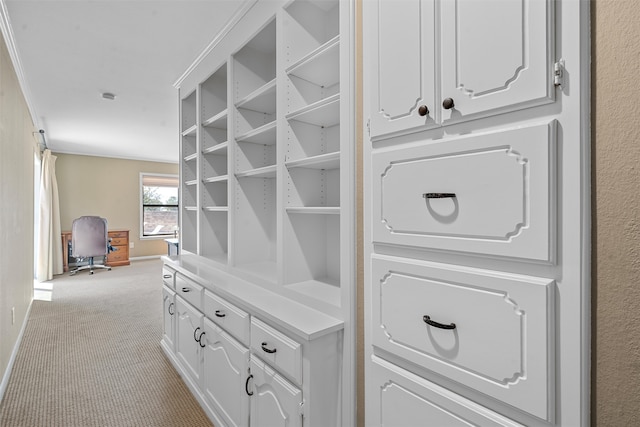 washroom featuring light colored carpet and ornamental molding