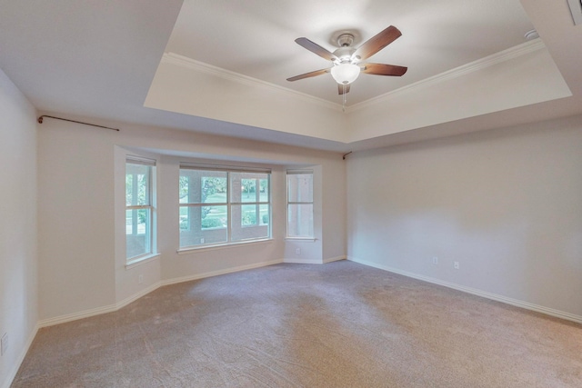 carpeted spare room with ceiling fan, a raised ceiling, and ornamental molding