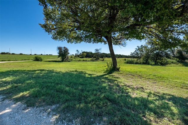 view of yard featuring a rural view