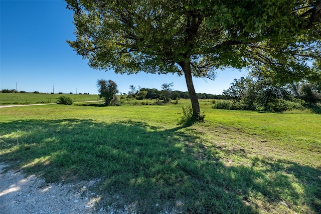 1204 County Road 122, Hico, TX 76457 - view of yard with a rural view
