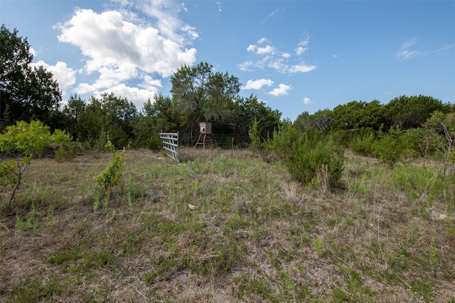 1204 County Road 122, Hico, TX 76457 - view of local wilderness