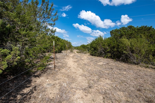 1204 County Road 122, Hico, TX 76457 - view of local wilderness