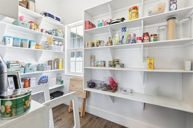 view of pantry