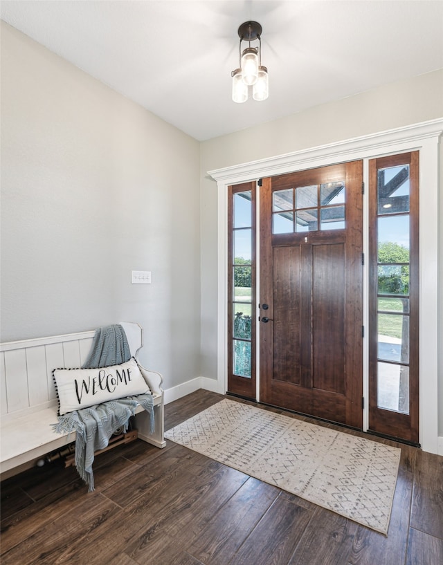 entryway with a wealth of natural light and wood-type flooring