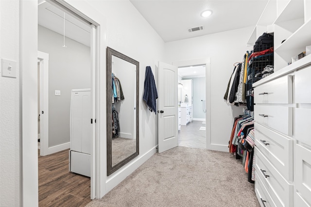 spacious closet with carpet