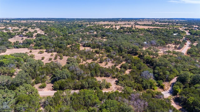 TBD County Road 272, Tuscola TX, 79562 land for sale