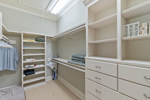 walk in closet featuring light colored carpet