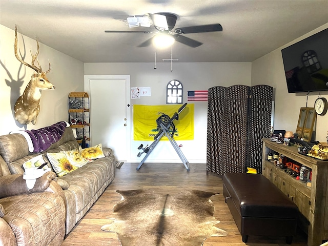 living room with ceiling fan and hardwood / wood-style flooring