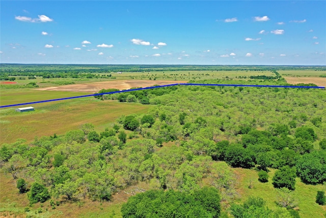 Listing photo 3 for TBD Fm 2210, Perrin TX 76486