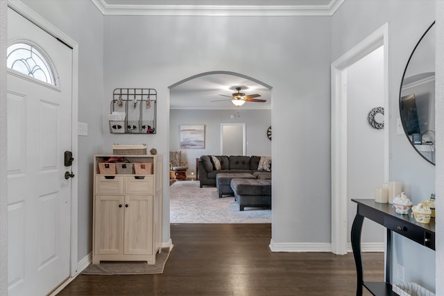 entryway featuring ceiling fan, crown molding, and dark wood-type flooring