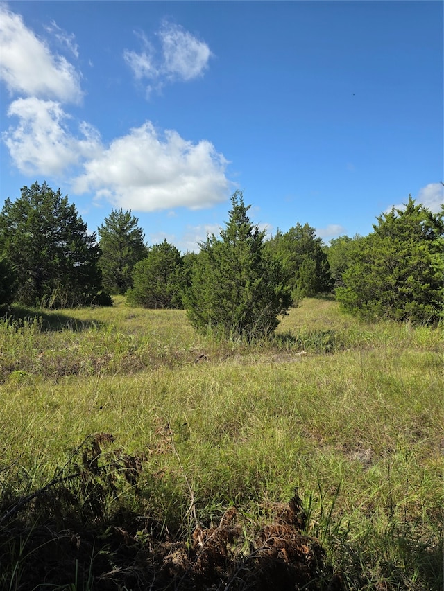 3694 County Road 1103, Celeste TX, 75423 land for sale