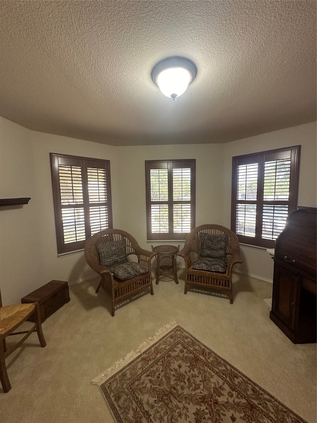 living room with a textured ceiling and light colored carpet