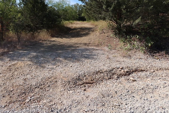 Listing photo 2 for TBD Bear Ridge Rd, Bowie TX 76230