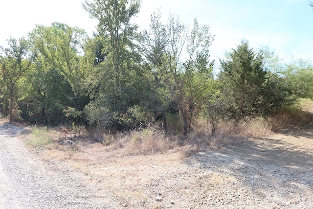 Listing photo 3 for TBD Bear Ridge Rd, Bowie TX 76230