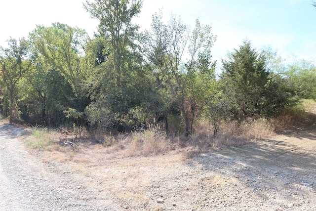 Listing photo 3 for TBD Bear Ridge Rd, Bowie TX 76230