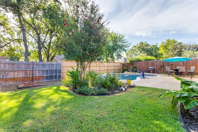 view of yard featuring a patio area and a fenced in pool