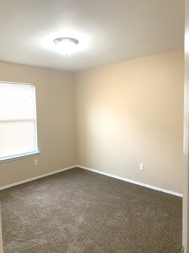 unfurnished room with carpet floors