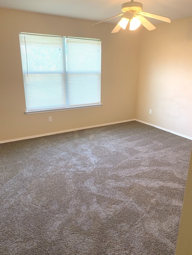 unfurnished room featuring ceiling fan and carpet floors