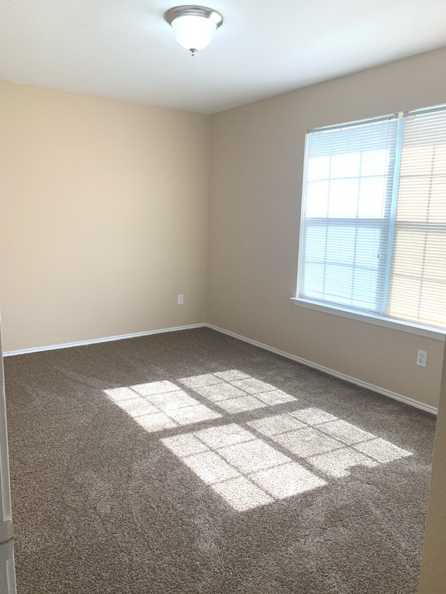 spare room with carpet