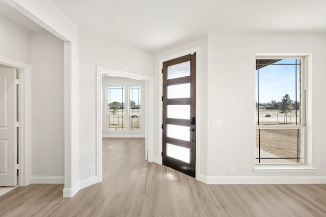 entryway featuring a healthy amount of sunlight and light hardwood / wood-style flooring