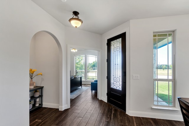 foyer featuring dark wood-type flooring