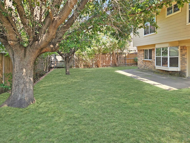 view of yard with a patio area