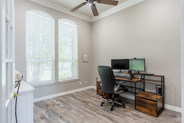 office with ceiling fan, light hardwood / wood-style flooring, and ornamental molding