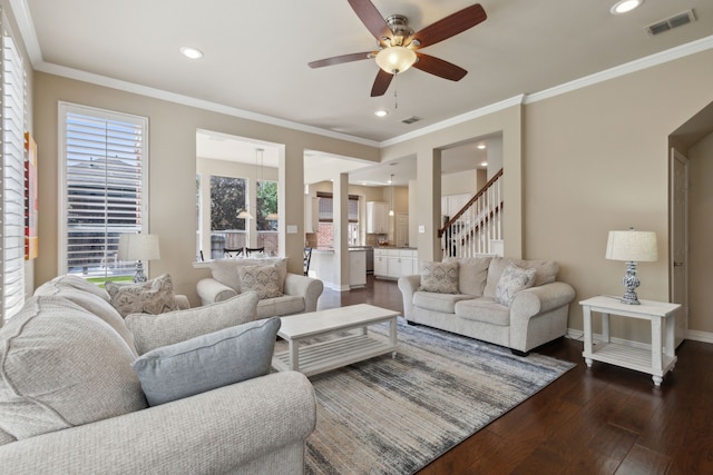 living room featuring ceiling fan, ornamental molding, and dark wood-type flooring