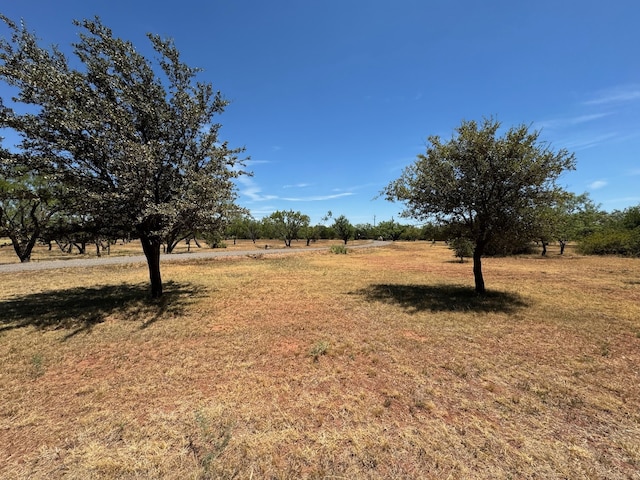 view of yard featuring a rural view