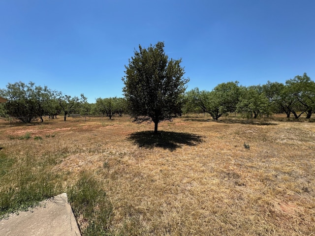 view of landscape featuring a rural view