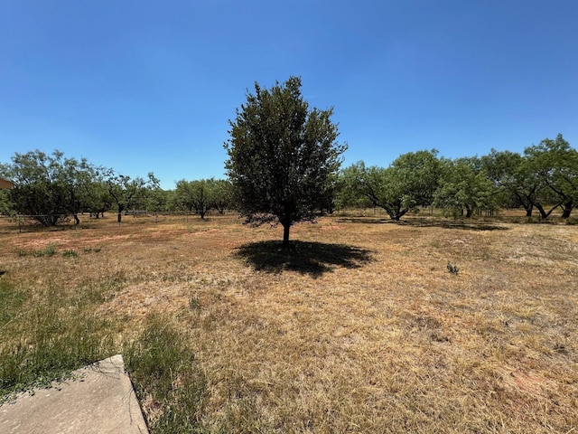 view of yard with a rural view