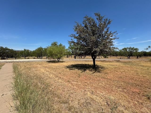 view of yard featuring a rural view