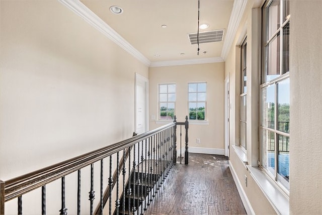 hallway with crown molding and dark hardwood / wood-style floors