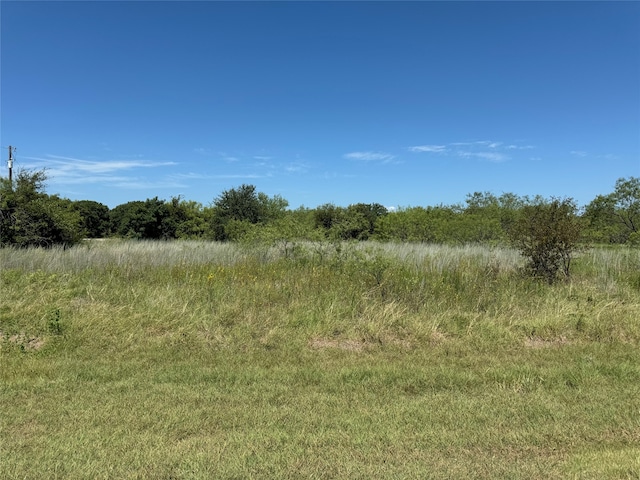 24163 Springwood Ln, Whitney TX, 76692 land for sale