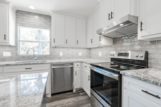 kitchen with hardwood / wood-style floors, appliances with stainless steel finishes, sink, and decorative backsplash