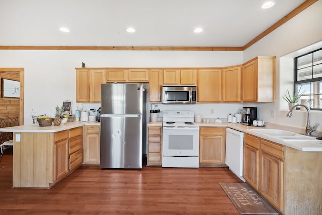 kitchen with sink, stainless steel appliances, hardwood / wood-style floors, and light brown cabinetry