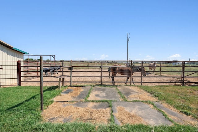 view of yard featuring a rural view