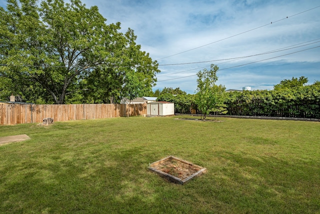 view of yard featuring a storage unit