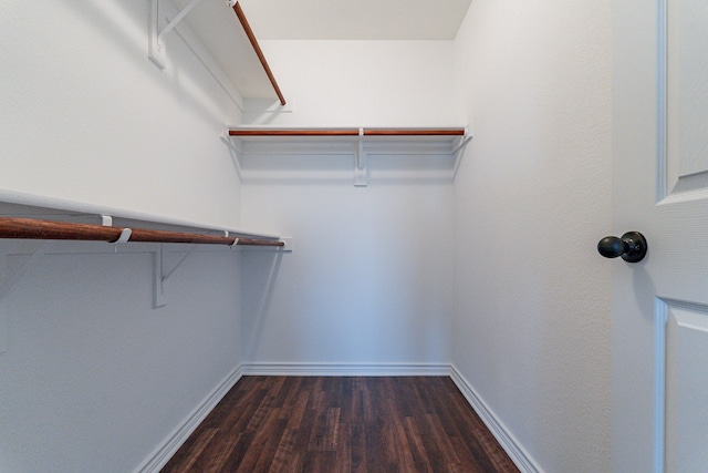 spacious closet with hardwood / wood-style floors