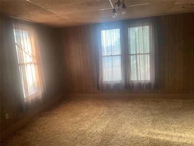 carpeted empty room featuring a wealth of natural light and wooden walls