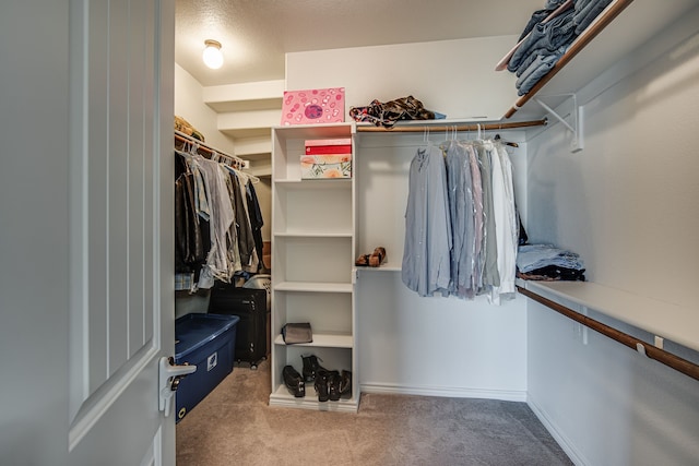 spacious closet with carpet flooring