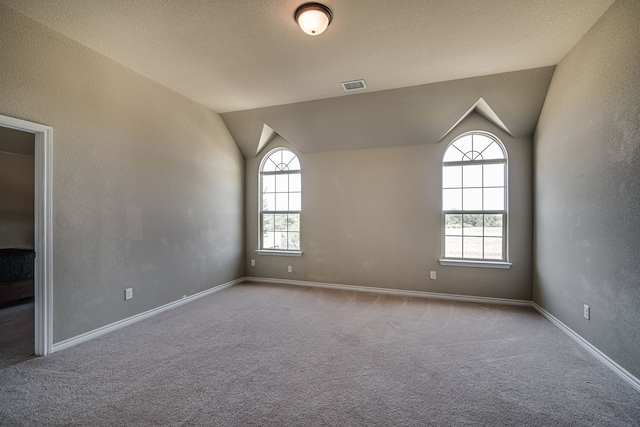 carpeted empty room with vaulted ceiling and plenty of natural light