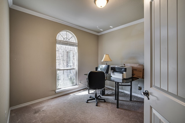 office area featuring carpet, plenty of natural light, and crown molding