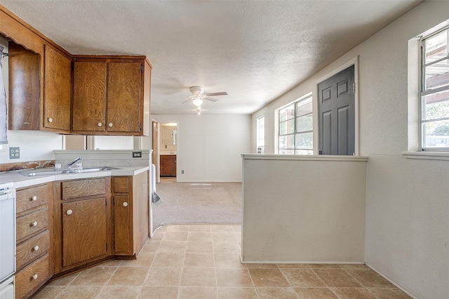 kitchen with ceiling fan, a textured ceiling, plenty of natural light, and sink